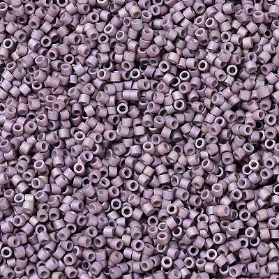 MIYUKI Delica Beads SEED-MY11-DB1064-1