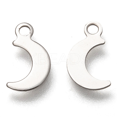 Non-Tarnish 201 Stainless Steel Charms LS-X-STAS-B001-11P-1