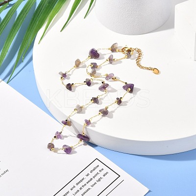 Natural Amethyst Chip Beaded Necklace for Girl Women NJEW-JN03708-01-1