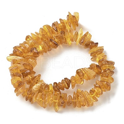 Natural Amber Beads Strands G-L095-D01-06-1