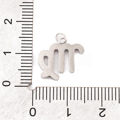 316 Stainless Steel Micro Pave Cubic Zirconia Pendants STAS-K284-01B-P-1