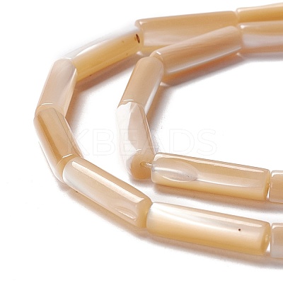 Natural Trochid Shell/Trochus Shell Beads SSHEL-O001-26A-1