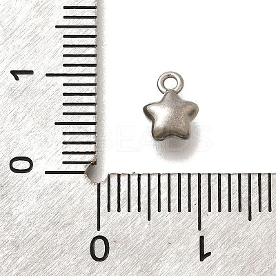 304 Stainless Steel Charms STAS-D310-06P-05-1