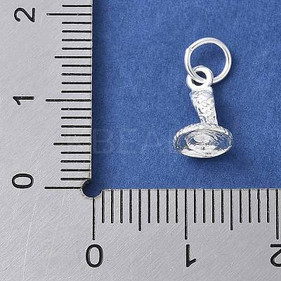 925 Sterling Silver 3D Chinese Zodiac Charms STER-P066-01S-06-1