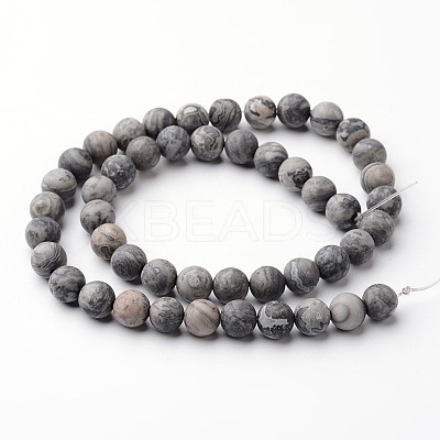 Frosted Round Natural Map Stone/Picasso Stone/Picasso Jasper Bead Strands G-J346-04-8mm-1