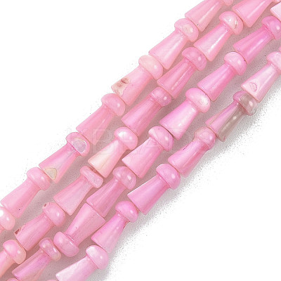 Natural Freshwater Shell Beads Strands SHEL-G013-02-1