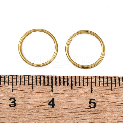 Iron Split Rings IFIN-XCP0001-38-1