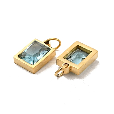 PVD Vacuum Plating 304 Stainless Steel Pendants STAS-D189-03G-B03-1