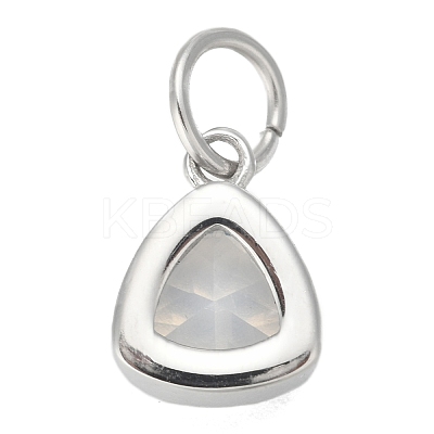 304 Stainless Steel Cubic Zirconia Pendant ZIRC-P080-B05-1
