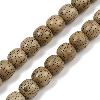 Natural Rudraksha Bodhi Seed Beads Strand WOOD-B010-A03-9x10mm-1