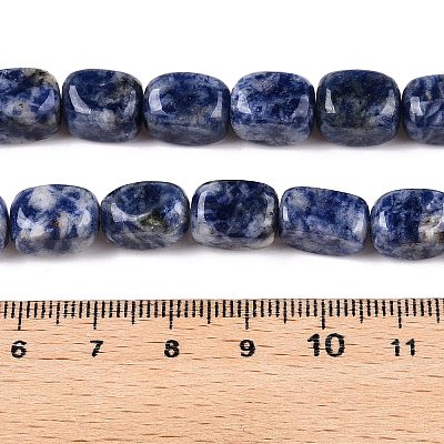 Natural Blue Spot Jasper Beads Strands G-T138-101-1