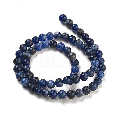 Sodalite Round Bead Strands G-P070-46-6mm-1