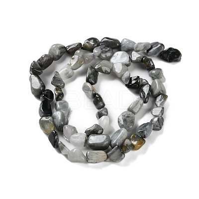 Natural Eagle Eye Stone Beads Strands X-G-P497-01C-52-1