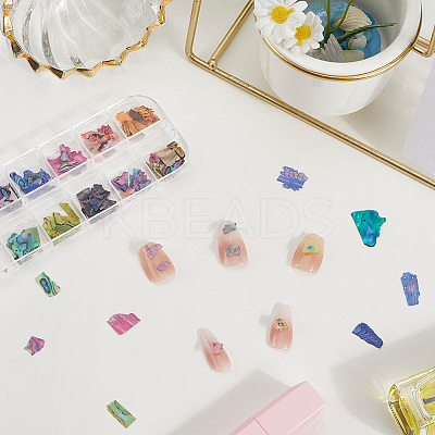1 Set 12 Grid Nuggets Abalone Shell Nail Art Sequins for Woman Girls MRMJ-SP0001-07-1