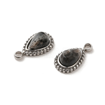 Natural Labradorite Teardrop Charms STAS-B074-04P-03-1