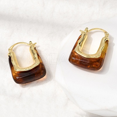 Brass Resin Hoop Earrings EJEW-P333-11B-G02-1