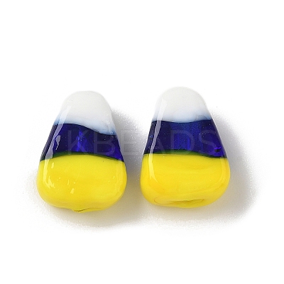 Handmade Lampwork Beads LAMP-Z014-01B-1