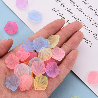 Transparent Frosted Acrylic Pendants MACR-S371-01A-1