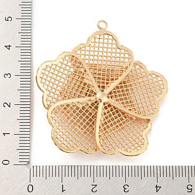 Rack Plating Brass Hollow Pendants KK-P244-04KCG-1