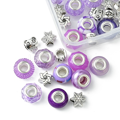 DIY Tibetan Style Alloy & Resin European Beads Making Finding Kits DIY-FS0006-78D-1
