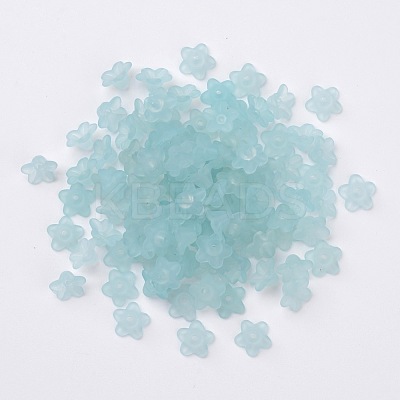 Transparent Acrylic Beads LS-X-PL554-11-1