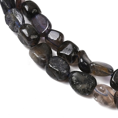 Natural Iolite/Cordierite/Dichroite Beads Strands G-A284-A02-02-1