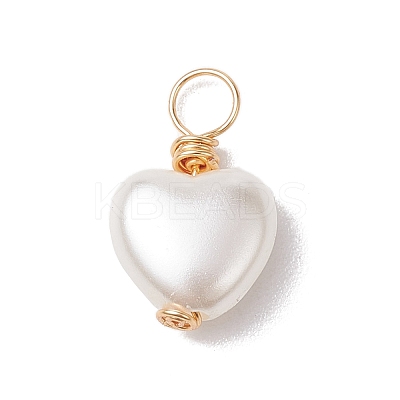 Acrylic Pendant PALLOY-JF02731-01-1