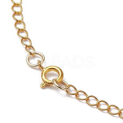 Glass & Cherry Quartz Glass Pendant Necklaces NJEW-JN04675-1