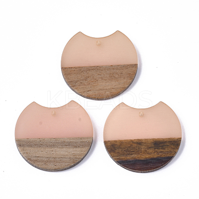 Resin & Walnut Wood Pendants RESI-T023-11E-1