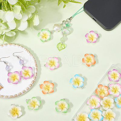 24Pcs 6 Colors Resin Pendants RESI-SC0006-06-1