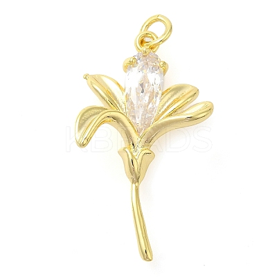 Rack Plating Brass Cubic Zirconia Pendants KK-S396-33G-1