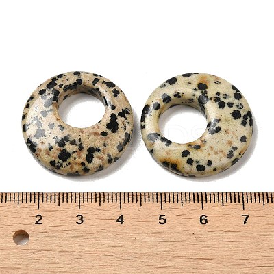 Natural Dalmatian Jasper Pendants G-T122-76J-1