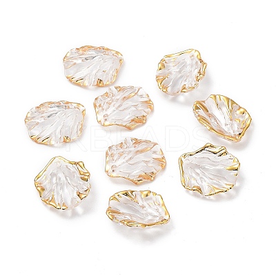 Transparent Acrylic Pendants X1-TACR-D013-03-1