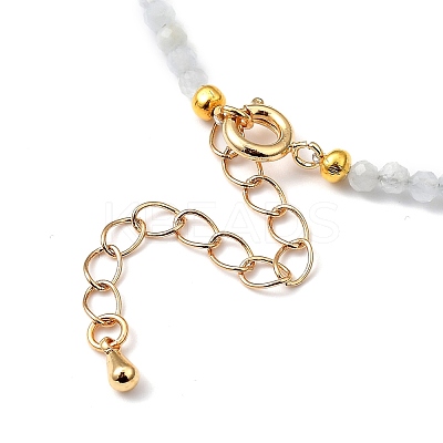 Natural Aquamarine Beaded Necklaces NJEW-JN02990-01-1