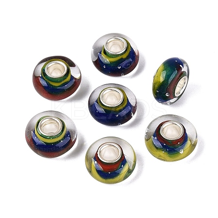 Handmade Lampwork & Brass Core European Beads LAMP-N044-08S-01-1