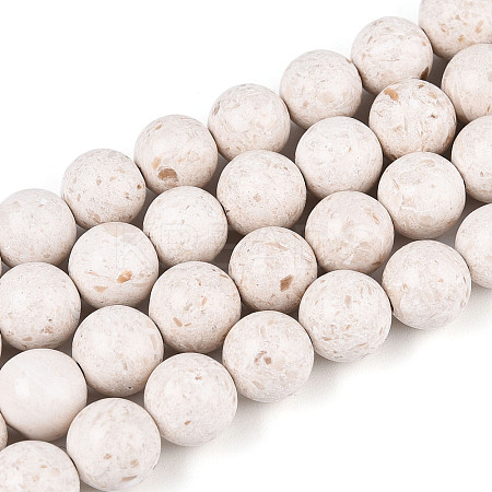 Dyed Natural Fossil Beads Strands G-T139-8mm-66A-1