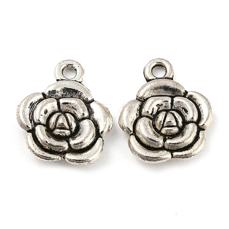 Alloy Pendants FIND-G065-15AS-1