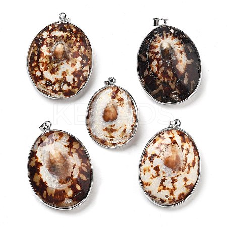 Electroplate Natural Shell Pendants KK-F882-03P-1