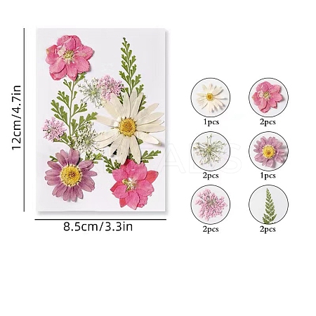 Dried Flower Sets PW-WG14974-04-1
