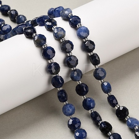 Natural Sodalite Beads Strands G-B153-A11-1