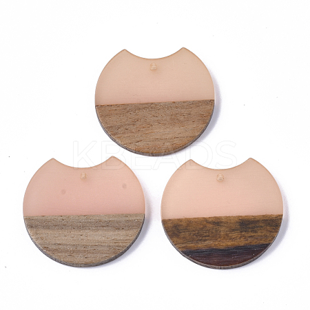 Resin & Walnut Wood Pendants RESI-T023-11E-1