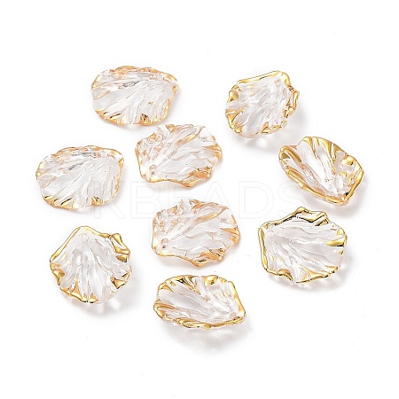 Transparent Acrylic Pendants X1-TACR-D013-03-1