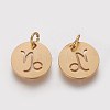 304 Stainless Steel Charms STAS-Q201-T445-10G-2