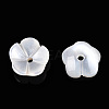 Natural White Shell Beads SSHEL-S260-053-2