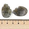 Natural Labradorite Pendants G-K359-03E-3