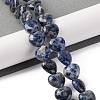 Natural Blue Spot Jasper Beads Strands G-I372-A13-02-2
