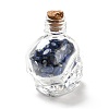 Mixed Gemstones Chips in Skull Glass Bottle Display Decorations DJEW-G039-02-3