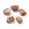 5Pcs Natural Picture Jasper Beads G-FS0002-07-1