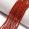 Natural Carnelian Beads Strands G-Z116-A22-2mm-1