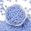 Baking Paint Glass Seed Beads SEED-C003-02B-2